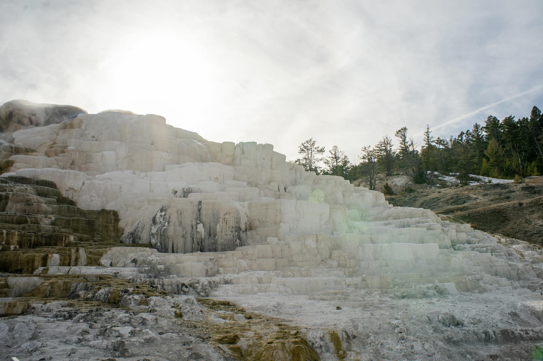 Tarasy gorących źródeł Mammoth Hot Springs w zimowej scenerii