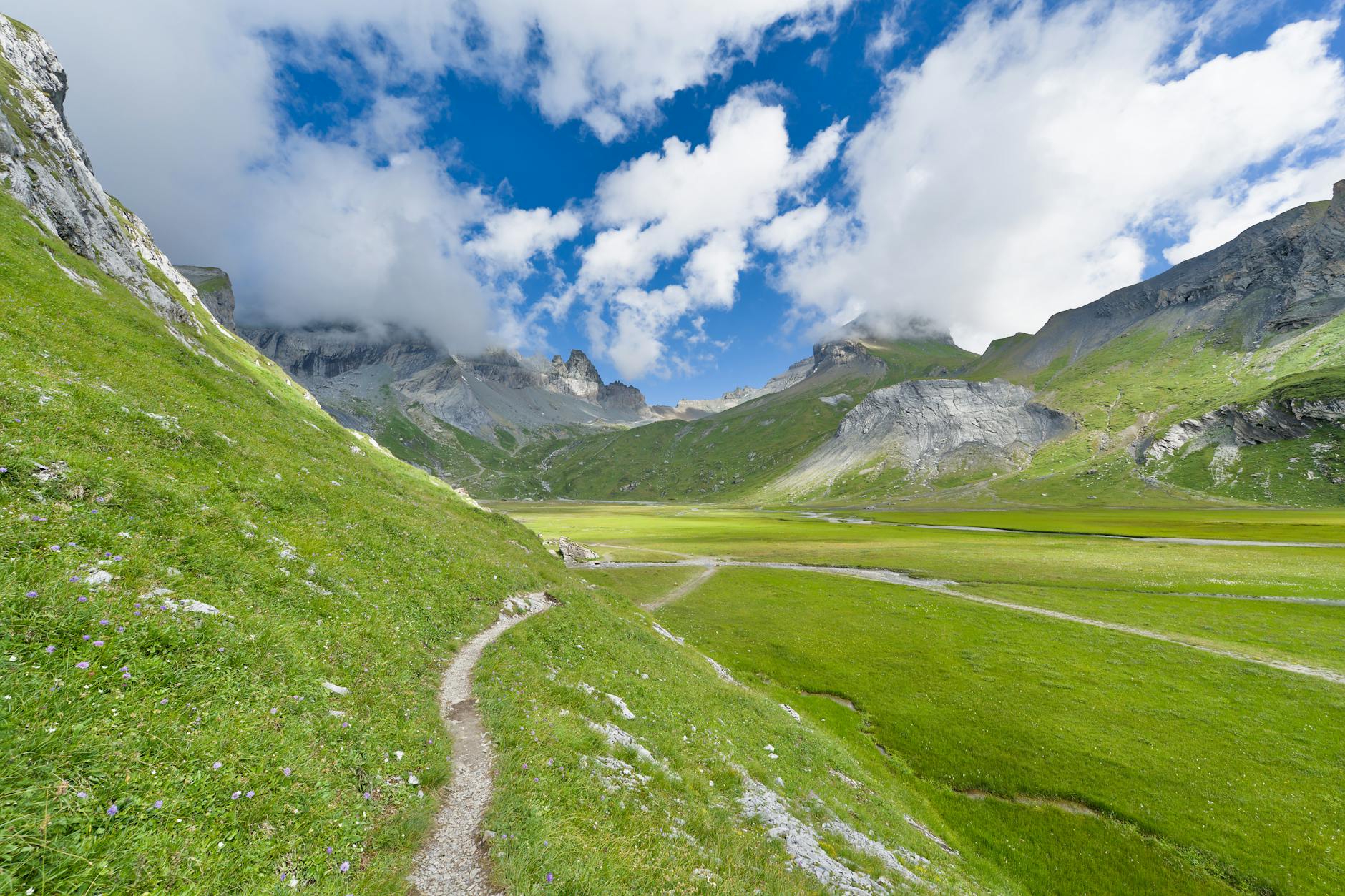 Zielona alpejska dolina otoczona wysokimi szczytami latem